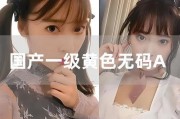 成人三级国产,成人三级教育新篇章