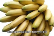 国产在线大香蕉,揭秘国内热门影视平台背后的故事